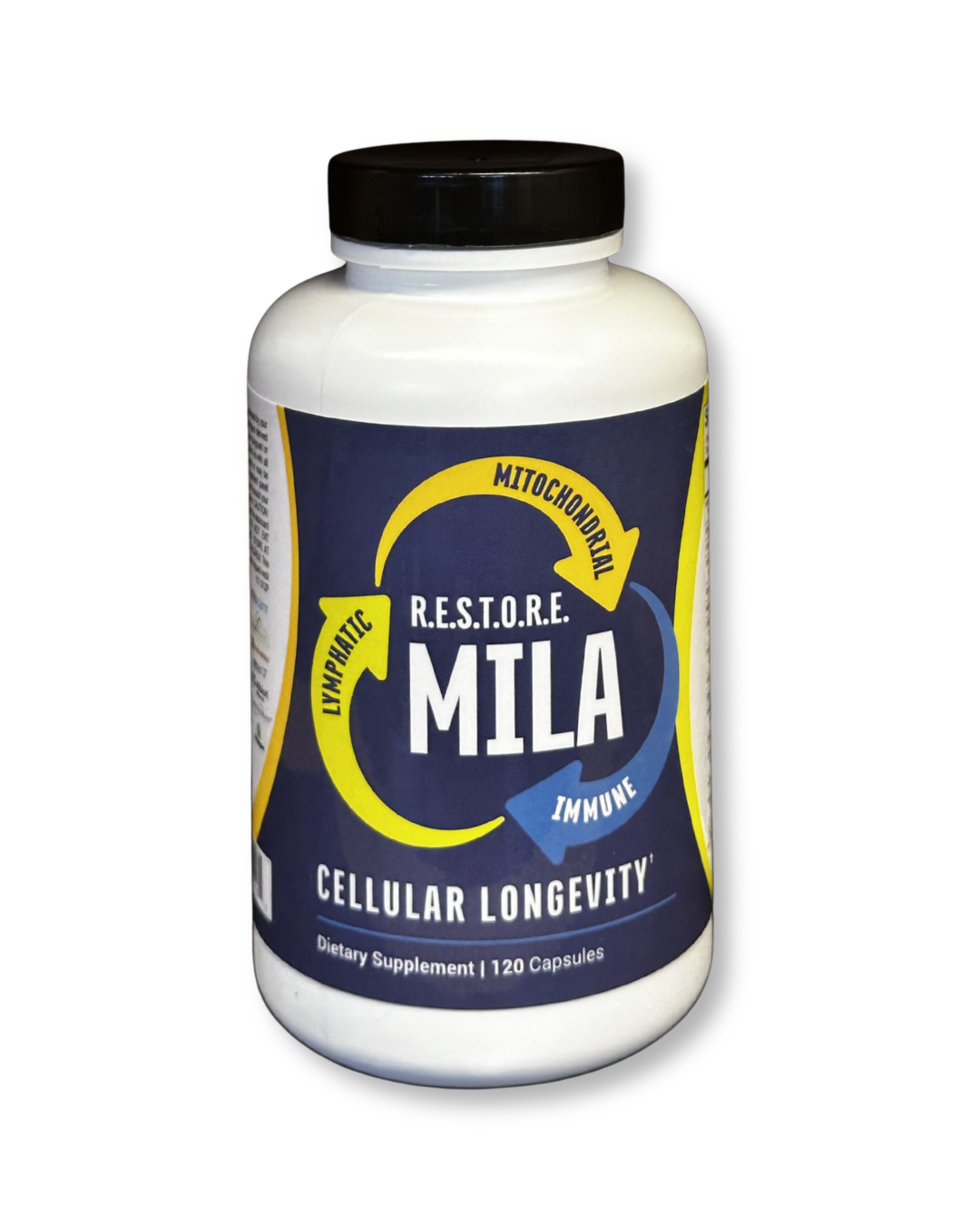 Cellular Longevity